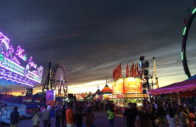 A VIEW FROM THE FAIR