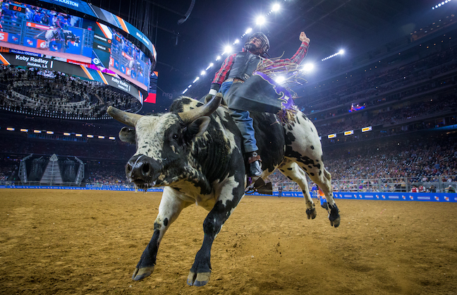 Houston’s Rodeo: Data in the Dirt